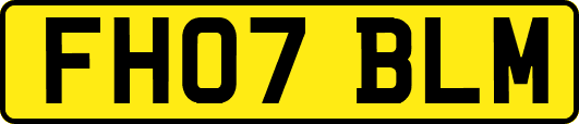 FH07BLM