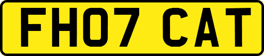 FH07CAT