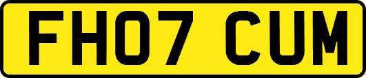 FH07CUM