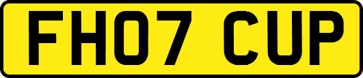 FH07CUP