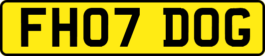 FH07DOG