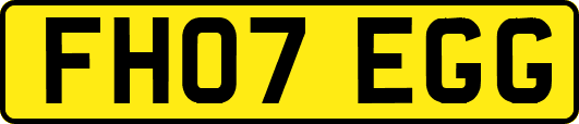 FH07EGG