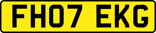 FH07EKG