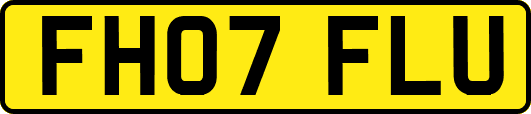 FH07FLU
