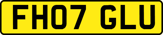 FH07GLU