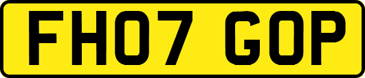 FH07GOP