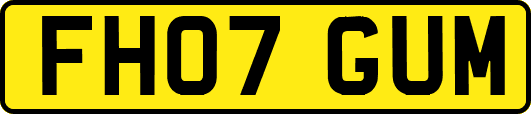 FH07GUM