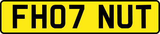 FH07NUT