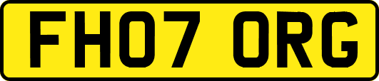 FH07ORG