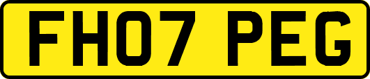 FH07PEG
