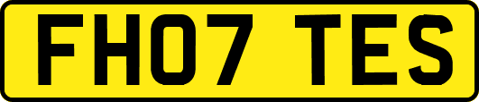 FH07TES
