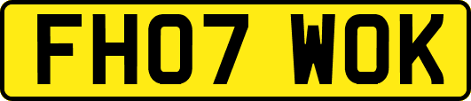FH07WOK