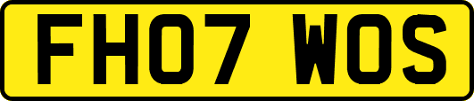 FH07WOS