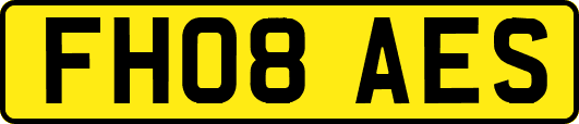 FH08AES