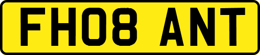 FH08ANT