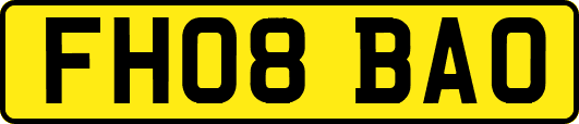 FH08BAO