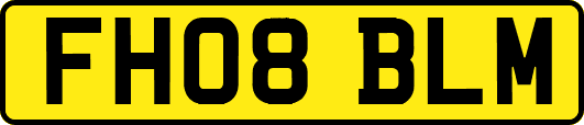 FH08BLM