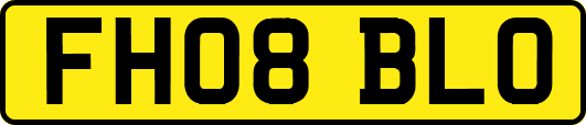 FH08BLO