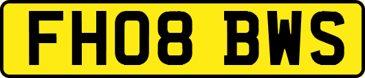FH08BWS
