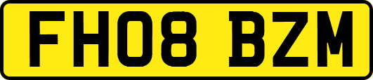 FH08BZM