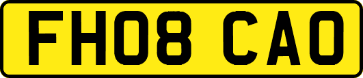 FH08CAO