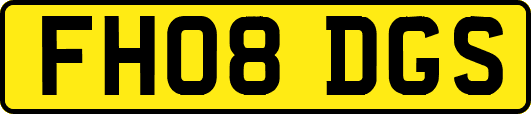 FH08DGS