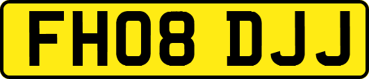 FH08DJJ