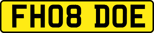 FH08DOE