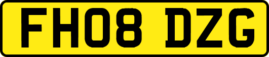 FH08DZG