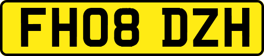 FH08DZH
