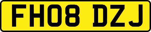 FH08DZJ