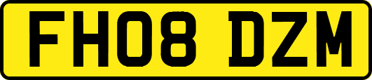 FH08DZM