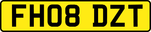 FH08DZT