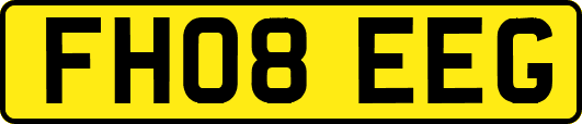 FH08EEG