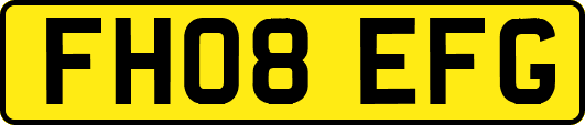 FH08EFG