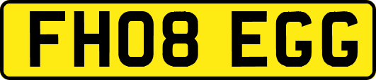FH08EGG