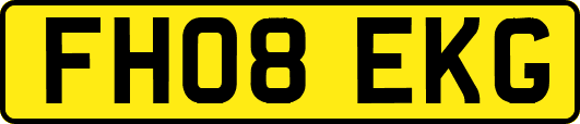 FH08EKG