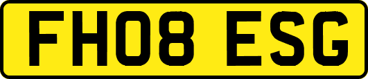 FH08ESG