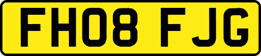 FH08FJG