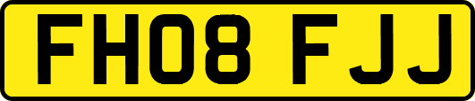 FH08FJJ