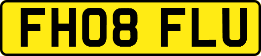 FH08FLU