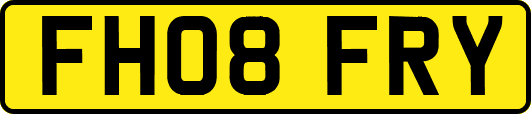 FH08FRY