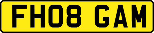 FH08GAM