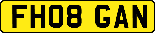 FH08GAN