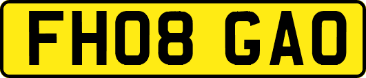 FH08GAO