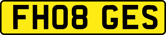 FH08GES