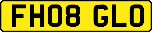 FH08GLO