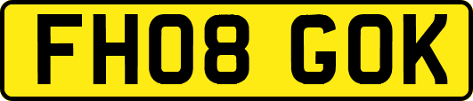 FH08GOK