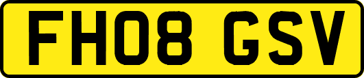 FH08GSV