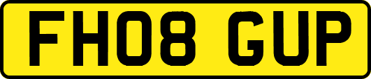 FH08GUP